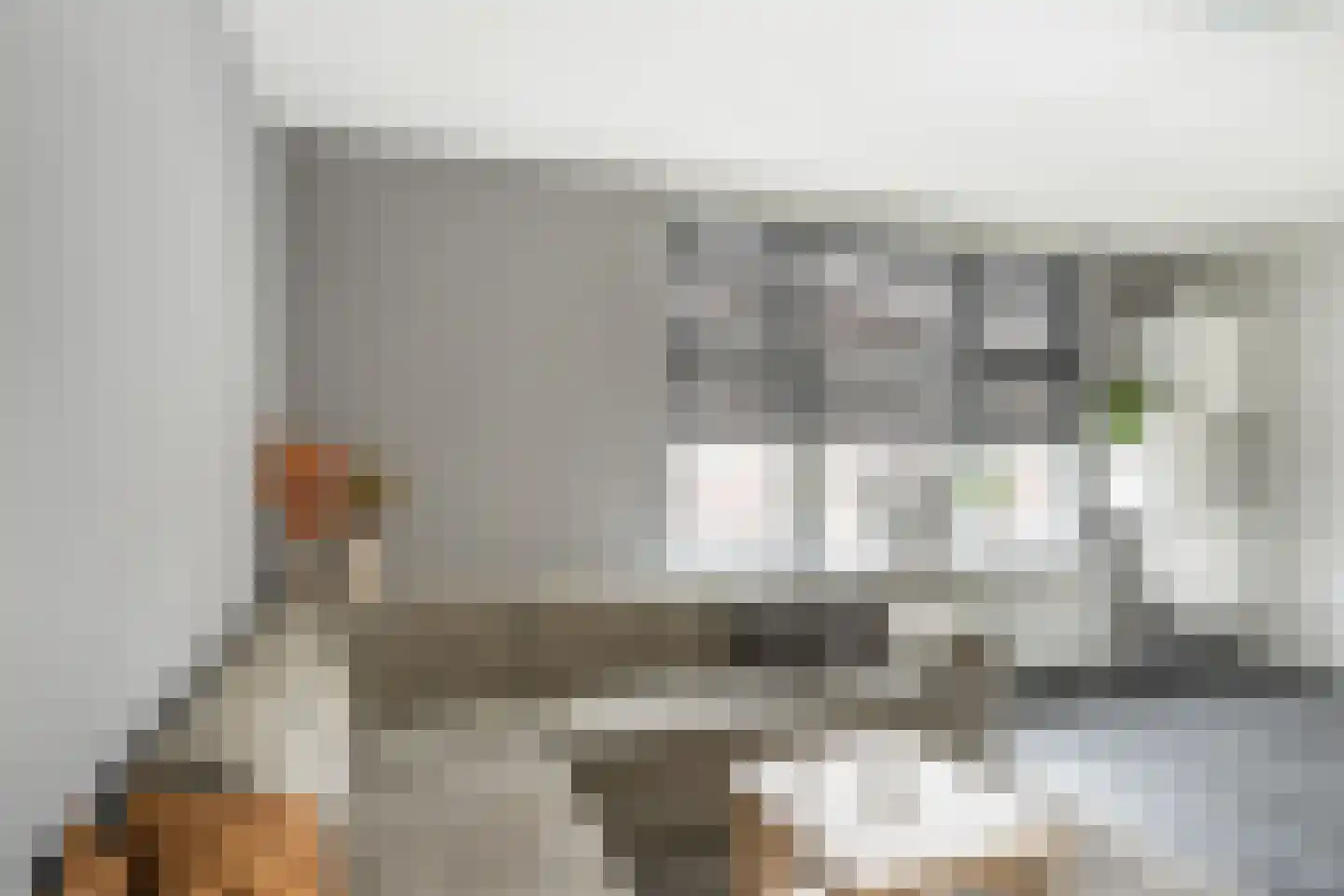 Valeriusstraat 5 Vlaardingen thumbnail 9