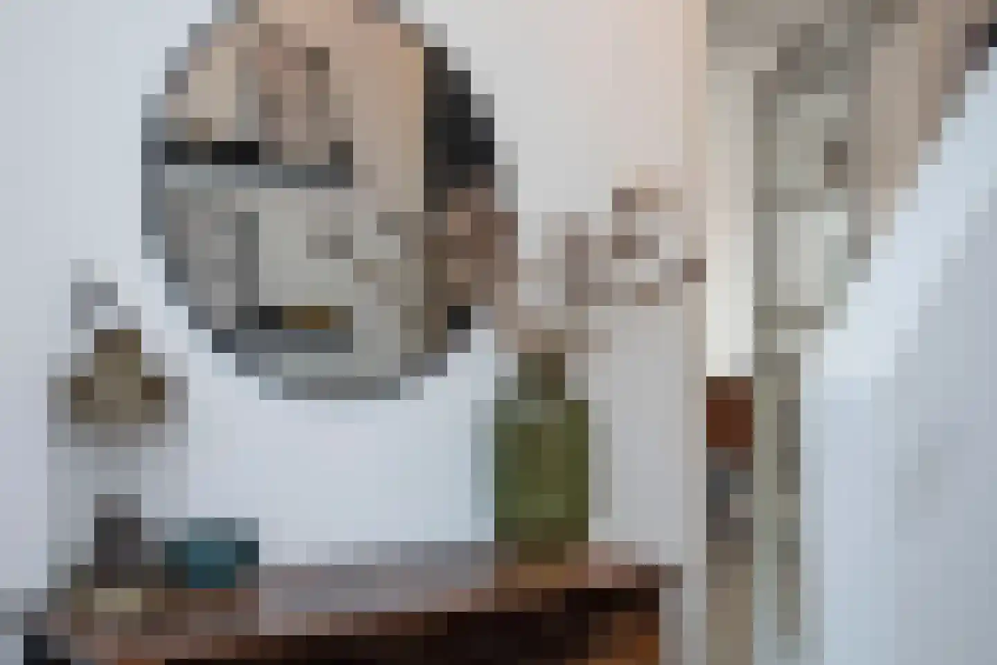 Valeriusstraat 52 Almelo thumbnail 8