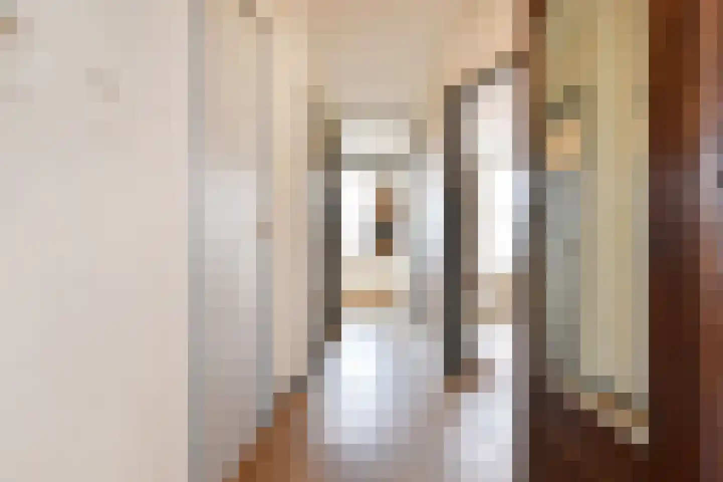 Valeriusstraat 52 Den Haag thumbnail 5
