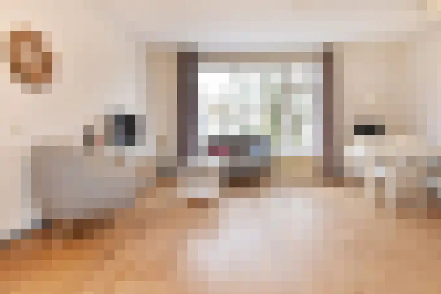 Valeriusstraat 52 Den Haag thumbnail 7