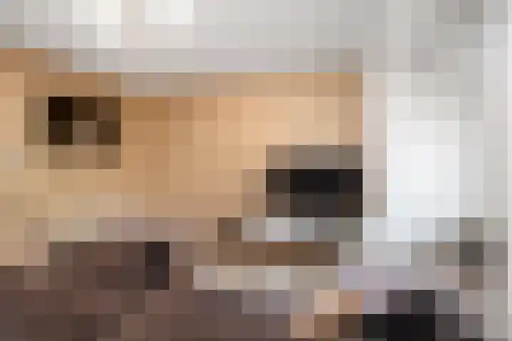 Valeriusstraat 52 Gemert thumbnail 10