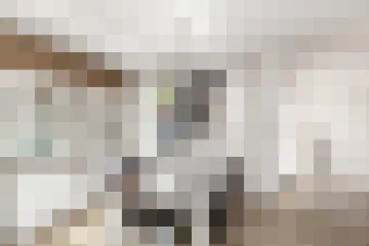 Valeriusstraat 52 Gemert thumbnail 12
