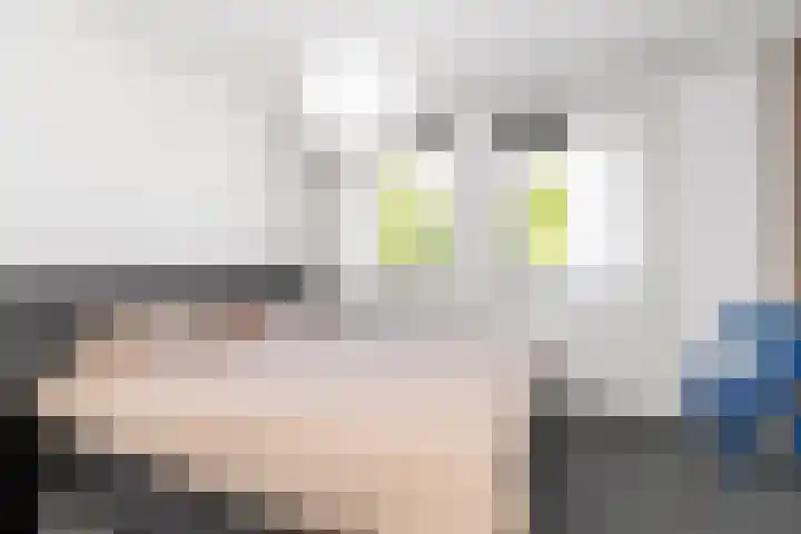 Valeriusstraat 52 Gemert thumbnail 17