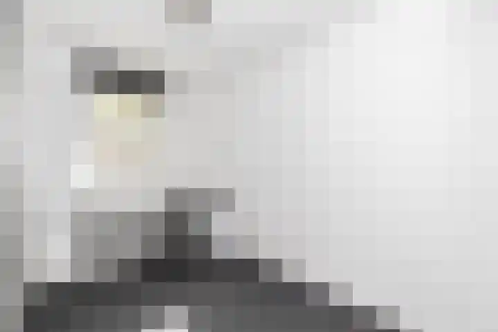 Valeriusstraat 52 Gemert thumbnail 19