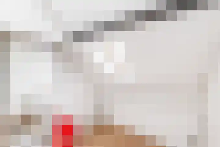 Valeriusstraat 52 Gemert thumbnail 23
