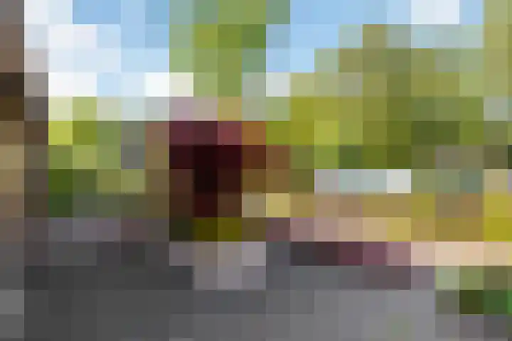 Valeriusstraat 52 Gemert thumbnail 30