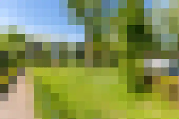 Valeriusstraat 52 Gemert thumbnail 32
