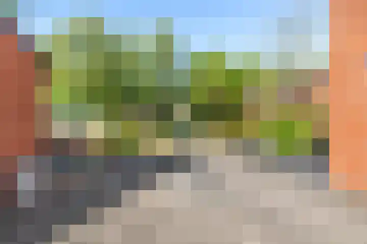 Valeriusstraat 52 Gemert thumbnail 4