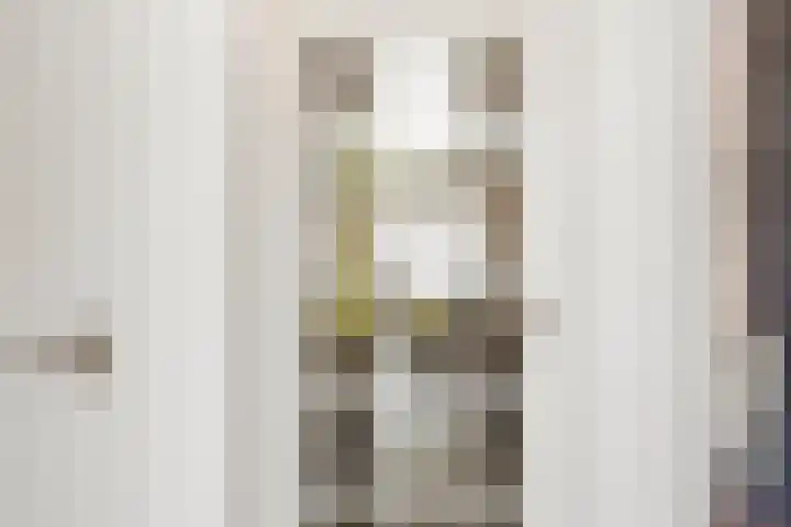 Valeriusstraat 52 Gemert thumbnail 5