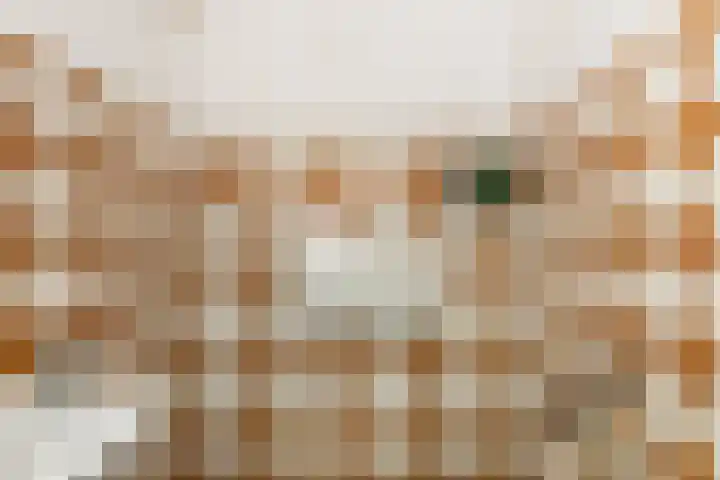 Valeriusstraat 52 Gemert thumbnail 6