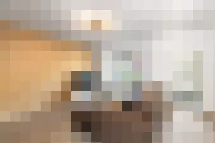 Valeriusstraat 52 Gemert thumbnail 7