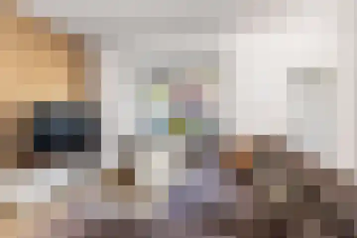 Valeriusstraat 52 Gemert thumbnail 8