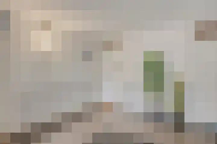 Valeriusstraat 52 Gemert thumbnail 9