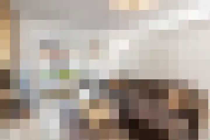 Valeriusstraat 52 Gemert thumbnail 9