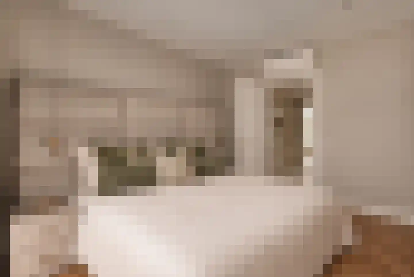 Valeriusstraat 53 Amsterdam thumbnail 32