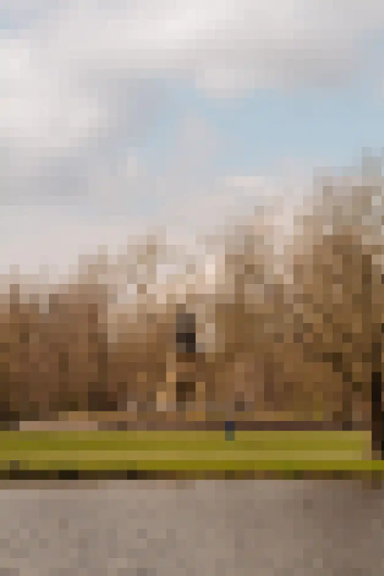 Valeriusstraat 53 Amsterdam thumbnail 42