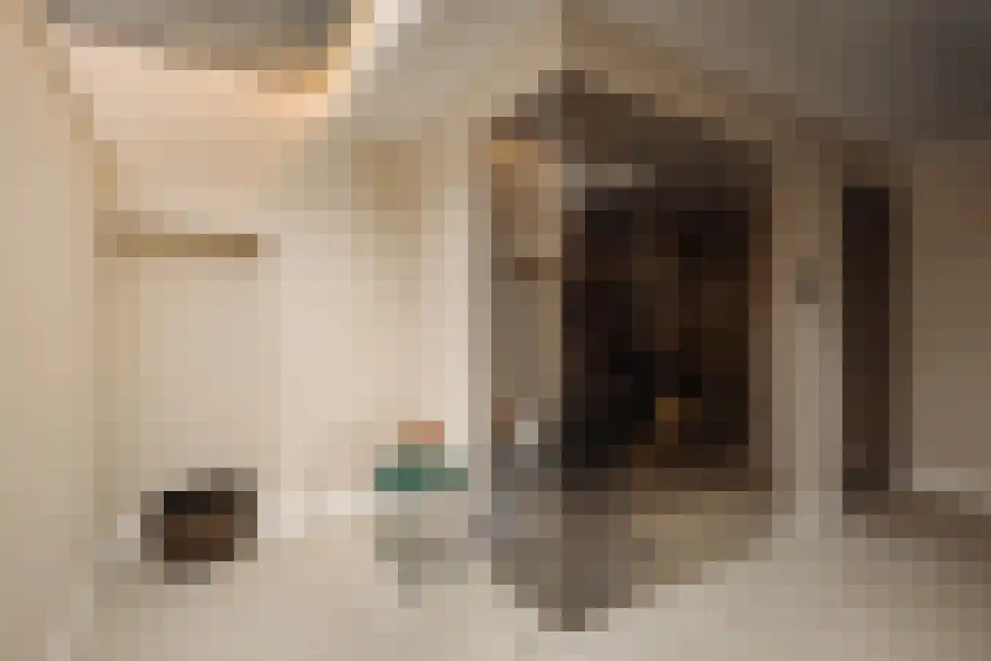 Valeriusstraat 53 Amsterdam thumbnail 58