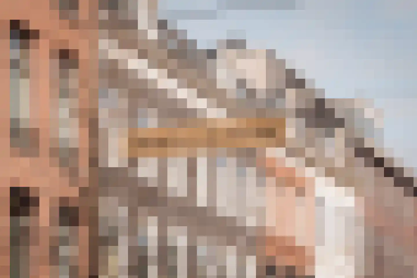 Valeriusstraat 53 Amsterdam thumbnail 74