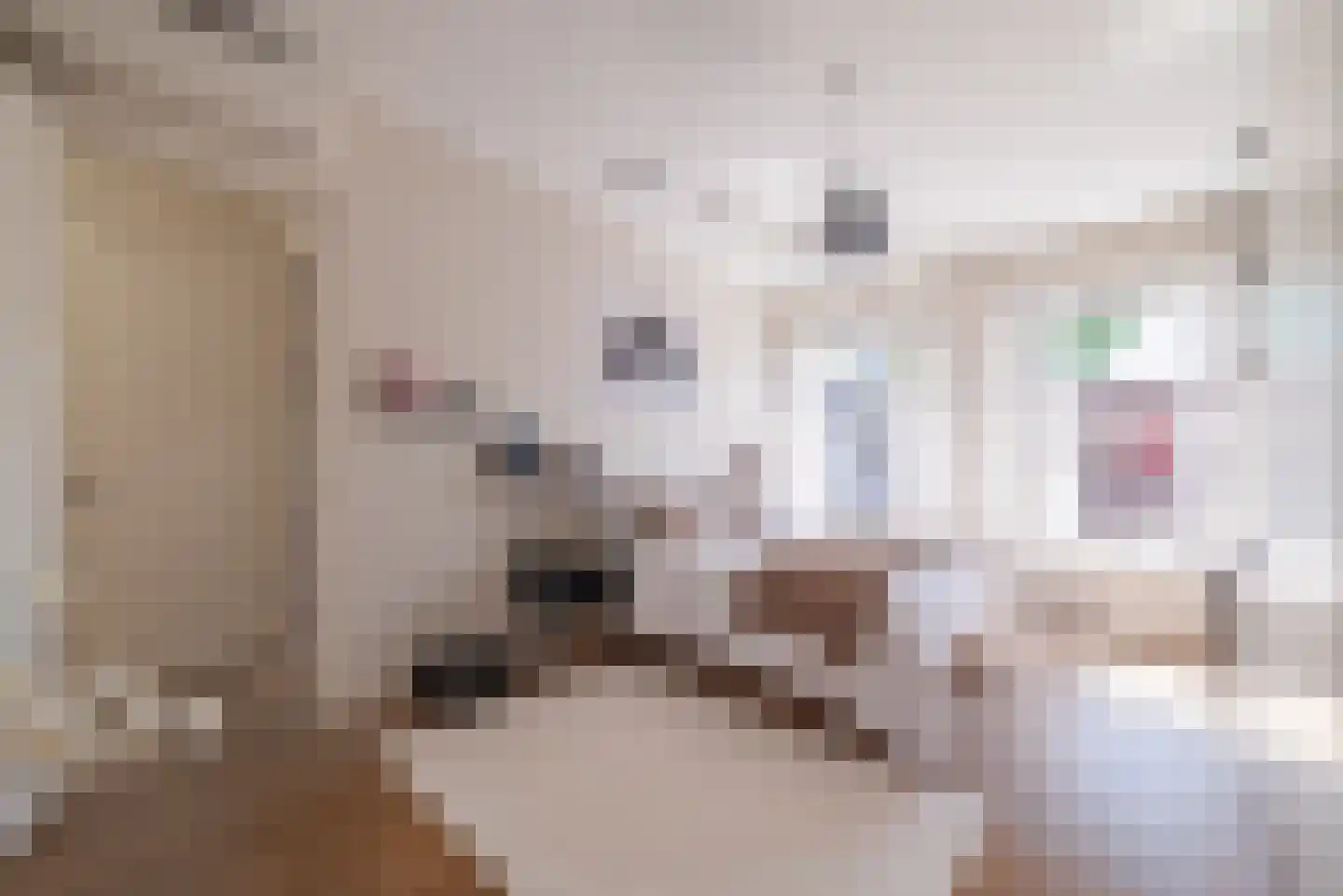 Valeriusstraat 58 2 Amsterdam thumbnail 35