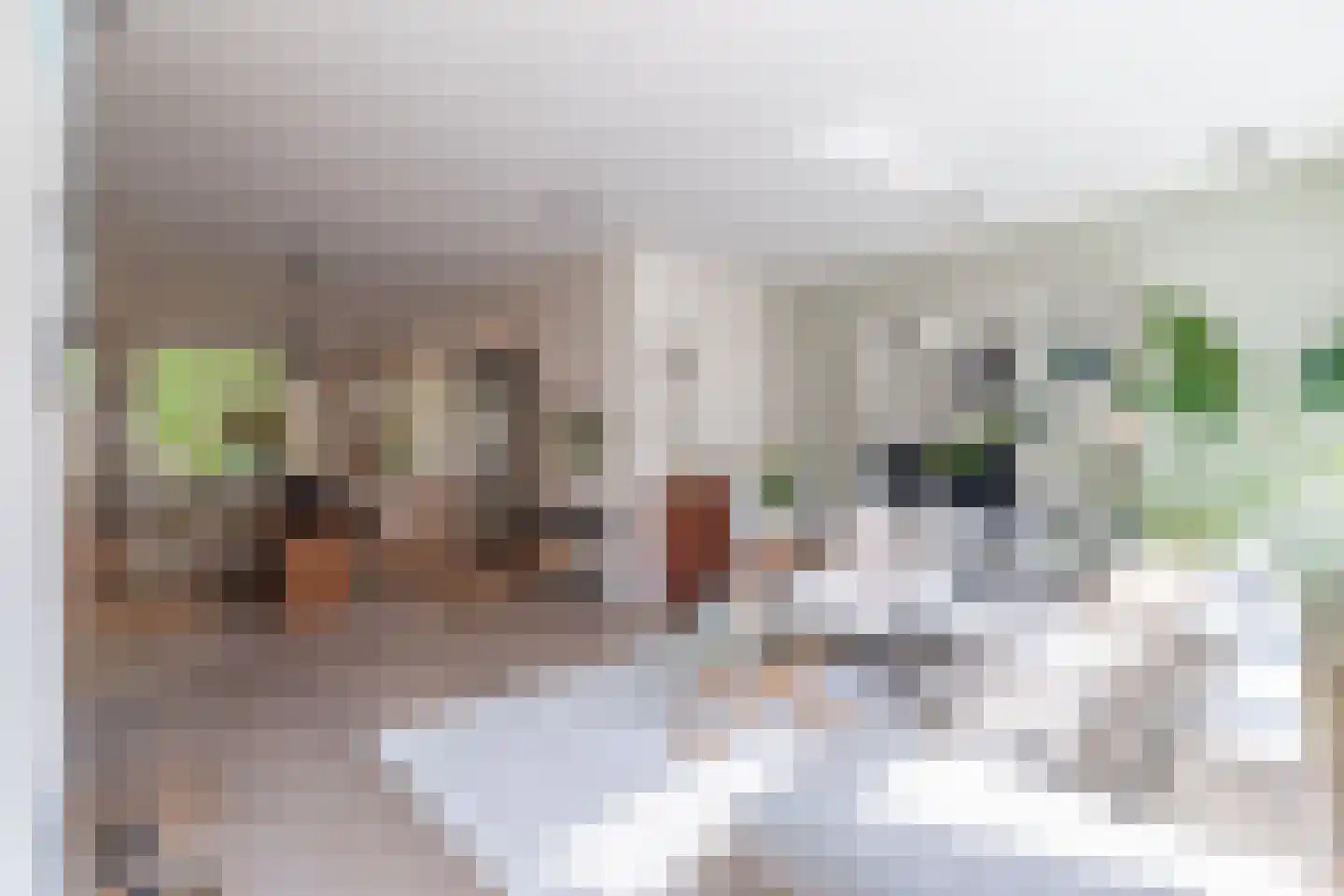 Valeriusstraat 58 2 Amsterdam thumbnail 9