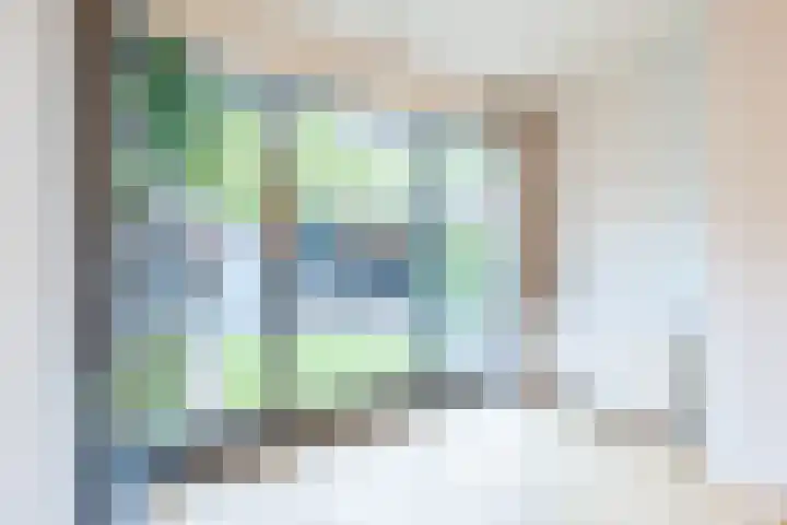 Valeriusstraat 58 Gemert thumbnail 16