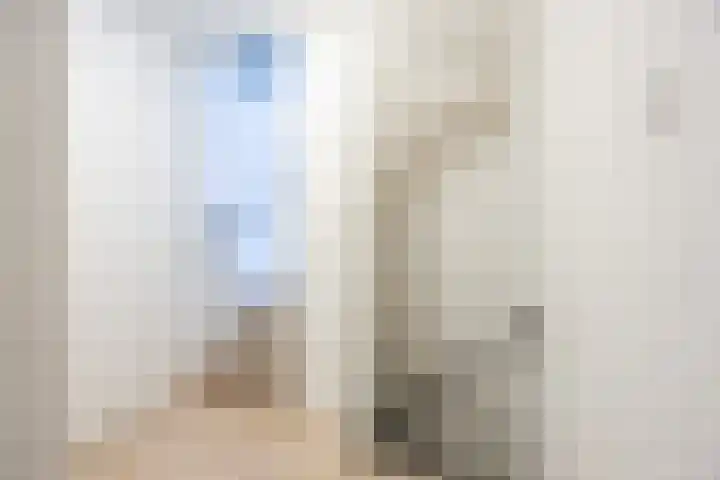 Valeriusstraat 58 Gemert thumbnail 17