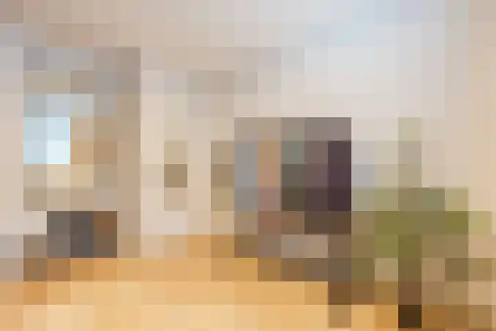 Valeriusstraat 58 Gemert thumbnail 22