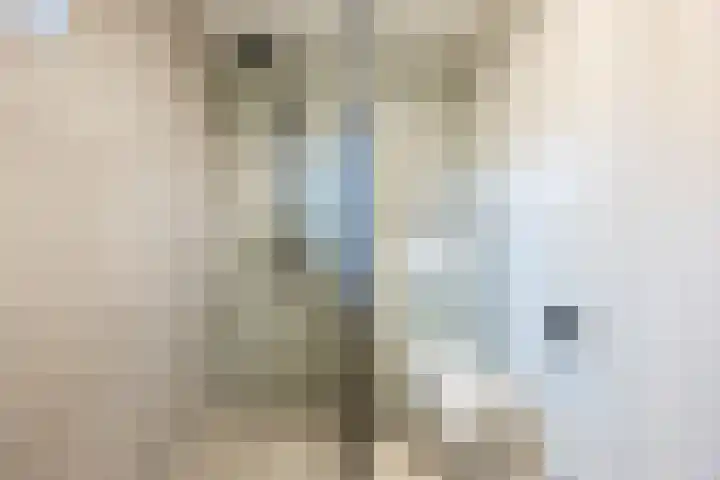 Valeriusstraat 58 Gemert thumbnail 27