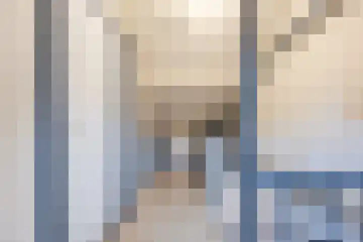 Valeriusstraat 58 Gemert thumbnail 30
