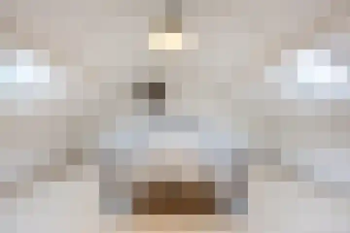 Valeriusstraat 58 Gemert thumbnail 31