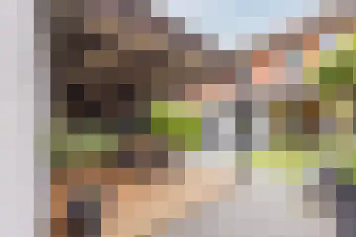 Valeriusstraat 58 Gemert thumbnail 34