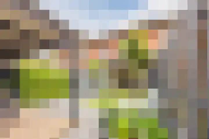 Valeriusstraat 58 Gemert thumbnail 35