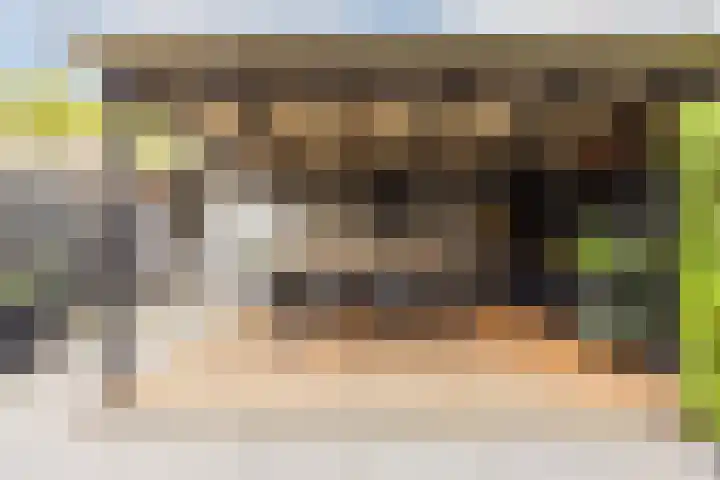 Valeriusstraat 58 Gemert thumbnail 37