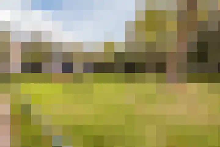 Valeriusstraat 58 Gemert thumbnail 38