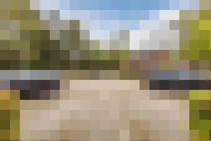 Valeriusstraat 58 Gemert thumbnail 39