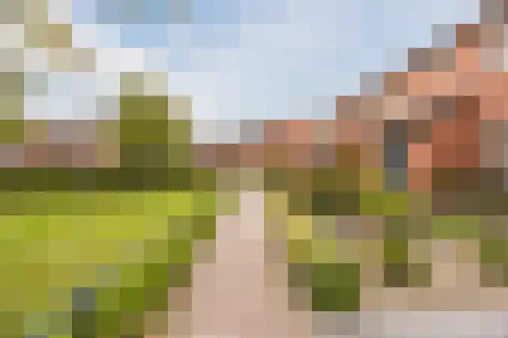 Valeriusstraat 58 Gemert thumbnail 40
