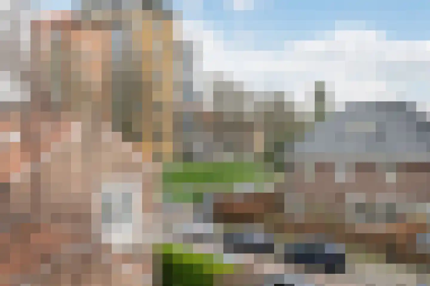 Valeriusstraat 58 Vlaardingen thumbnail 20
