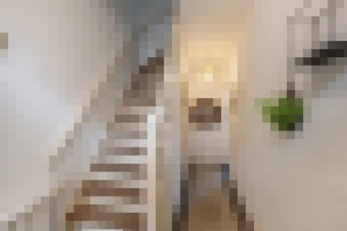 Valeriusstraat 58 Vlaardingen thumbnail 8
