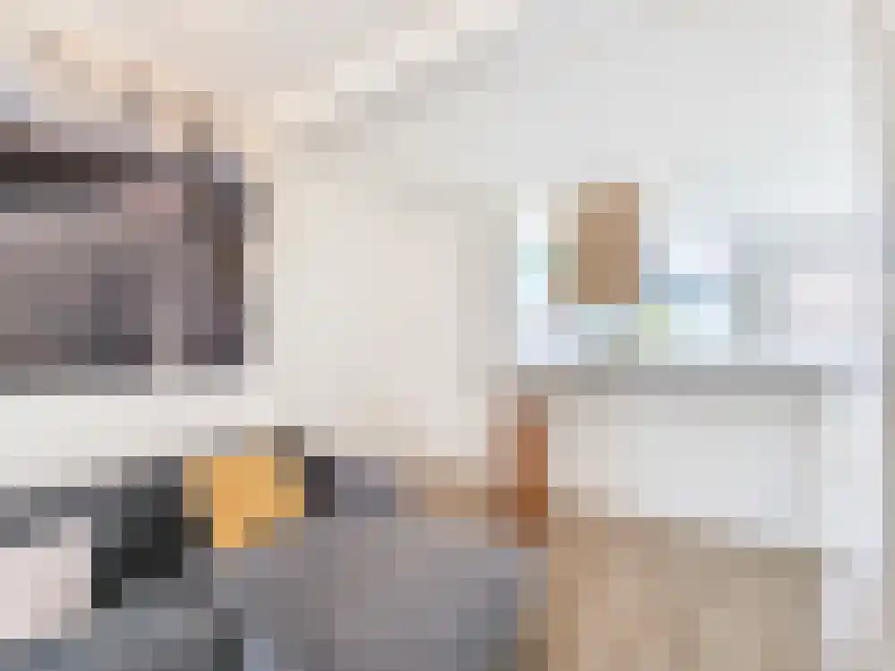 Valeriusstraat 73 Vlaardingen thumbnail 12