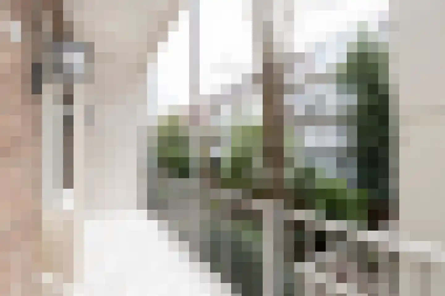 Valeriusstraat 81 H Amsterdam thumbnail 41