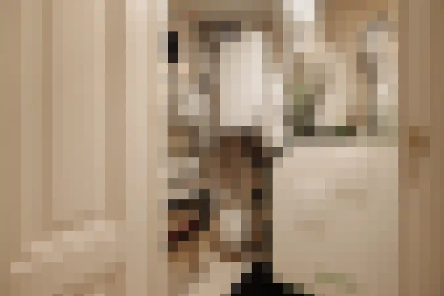 Valeriusstraat 91 H Amsterdam thumbnail 23