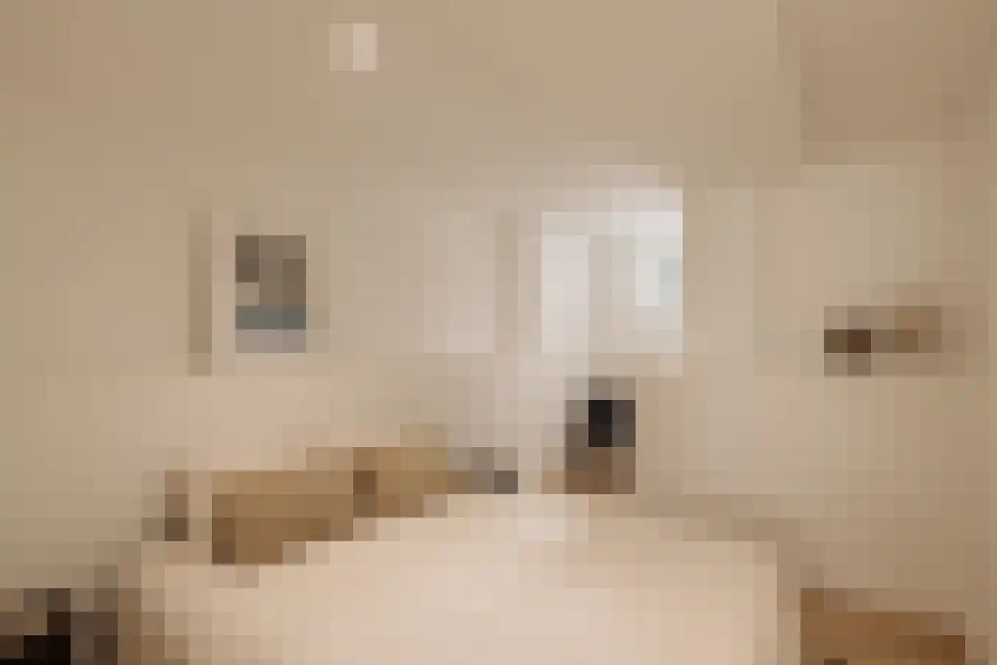 Valeriusstraat 98 H Amsterdam thumbnail 24