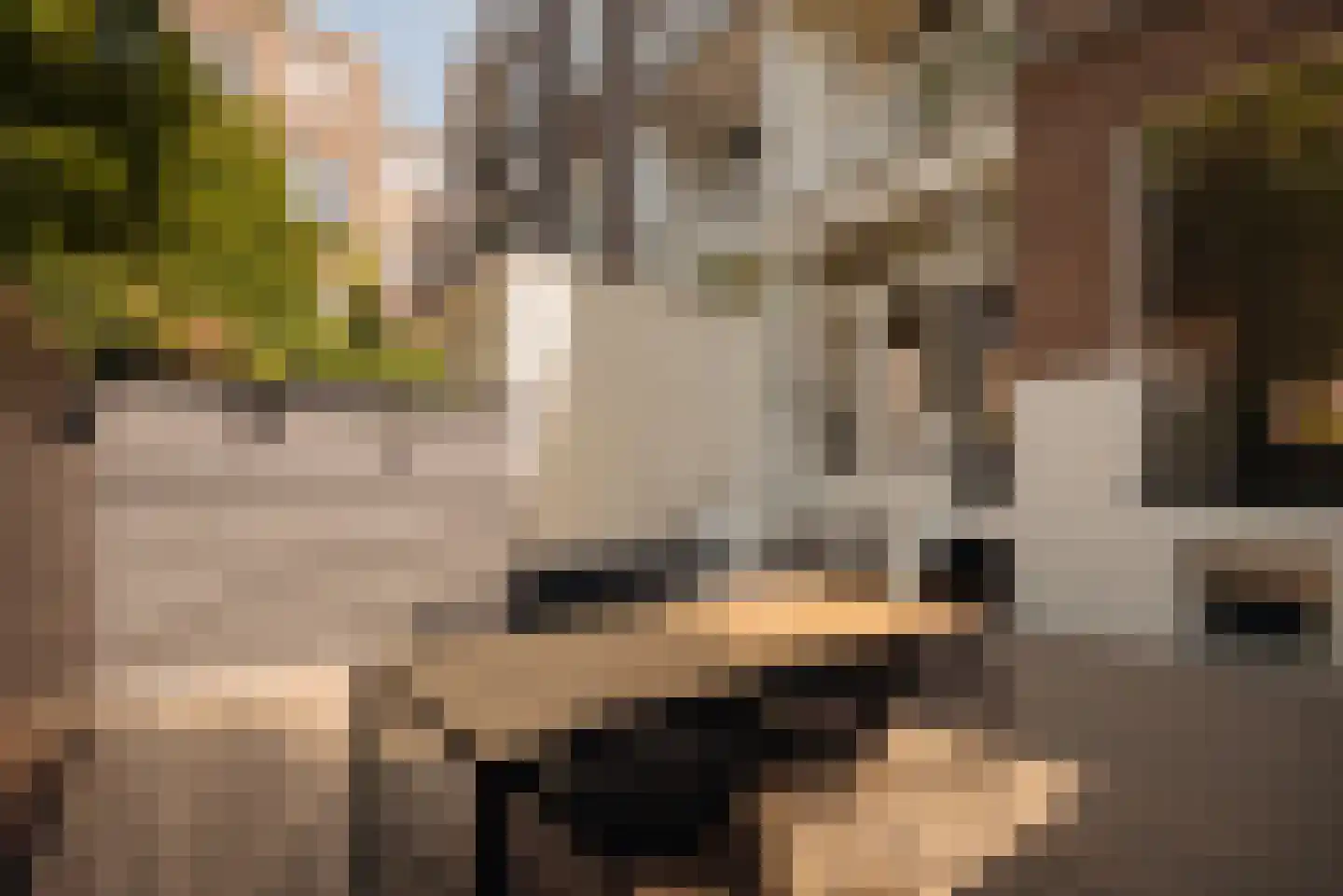 Valeriusstraat 98 H Amsterdam thumbnail 4