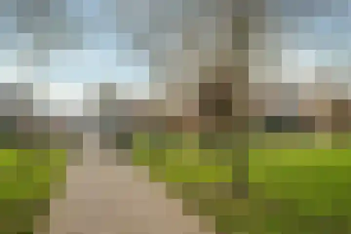 Valeriusstraat Amsterdam