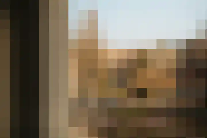 Valeriusterras 5 A Amsterdam thumbnail 9