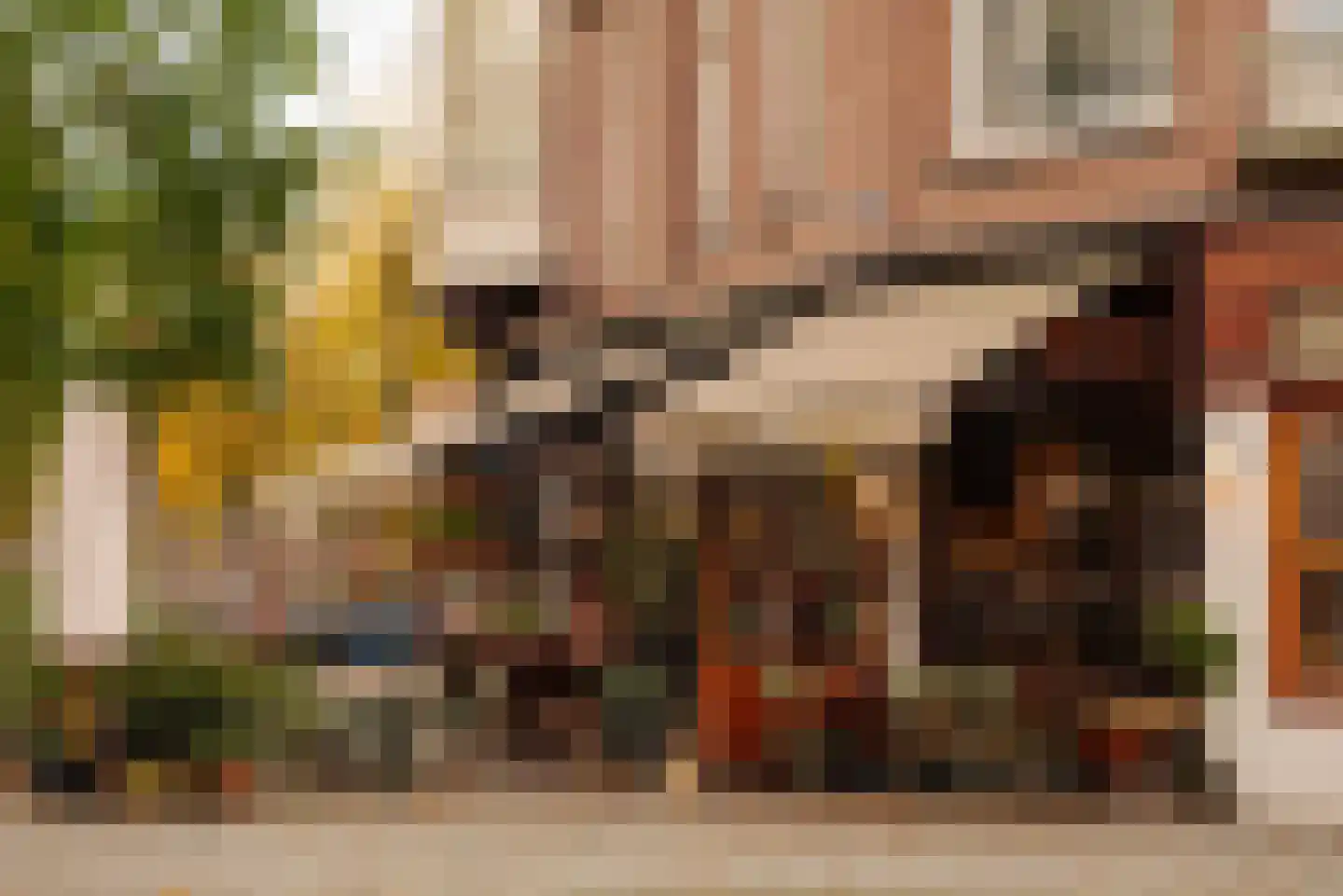 Valeriusterras 5 C Amsterdam thumbnail 29