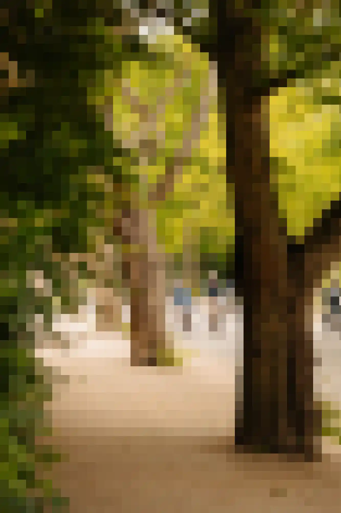 Valeriusterras 5 C Amsterdam thumbnail 33
