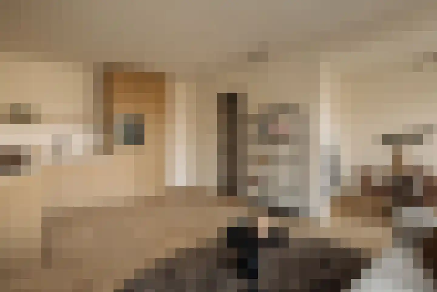Valeriusterras 5 C Amsterdam thumbnail 4