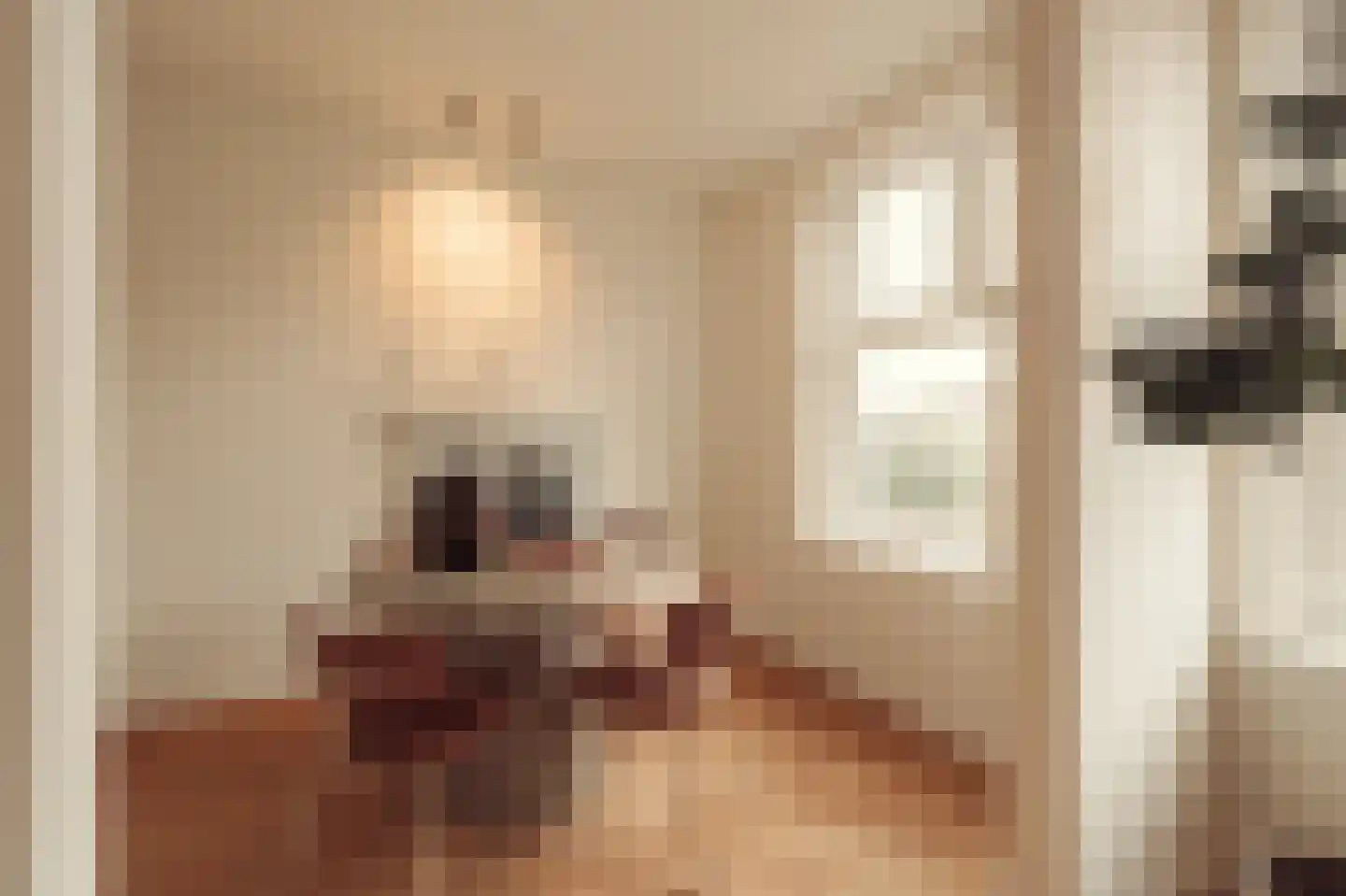 Valeriusterras 5 C Amsterdam thumbnail 7