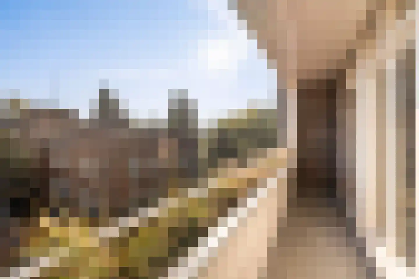 Valeriusterras 5 D Amsterdam thumbnail 10